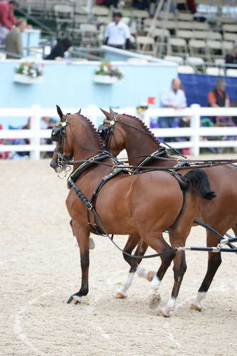 Devon-Coaching-5-29-14-6762-DDeRosaPhoto