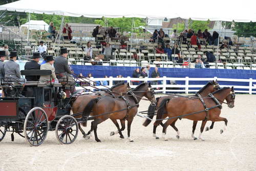 Devon-Coaching-5-29-14-6765-DDeRosaPhoto