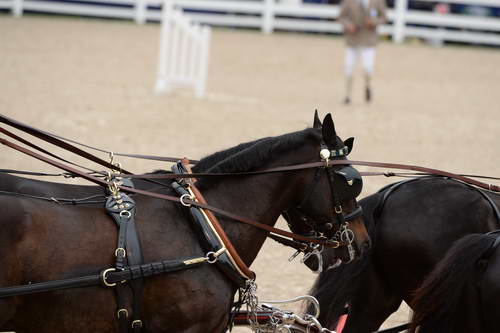 Devon-Coaching-5-29-14-6816-TuckerJohnson-JohnsonBrewster-DDeRosaPhoto