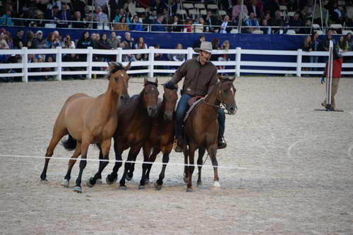 Devon-5-29-14-7088-DDeRosaPhoto