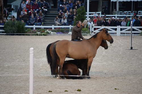 Devon-5-29-14-7096-DDeRosaPhoto