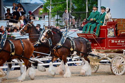 Devon-5-29-14-7106-DDeRosaPhoto