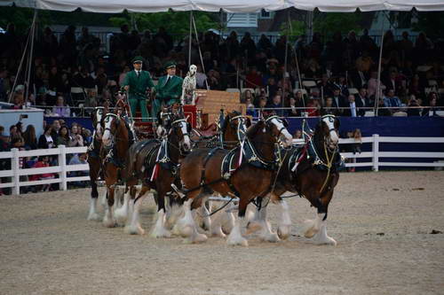 Devon-5-29-14-7115-DDeRosaPhoto