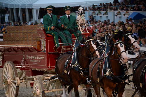 Devon-5-29-14-7118-DDeRosaPhoto