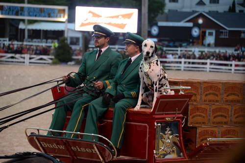 Devon-5-29-14-7119-DDeRosaPhoto