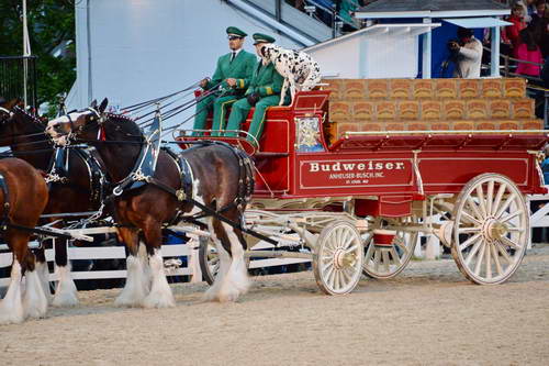 Devon-5-29-14-7126-DDeRosaPhoto