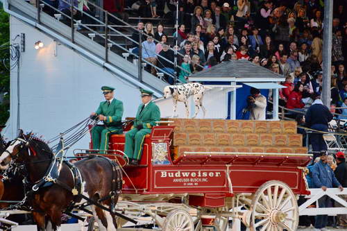 Devon-5-29-14-7127-DDeRosaPhoto