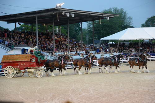 Devon-5-29-14-7130-DDeRosaPhoto