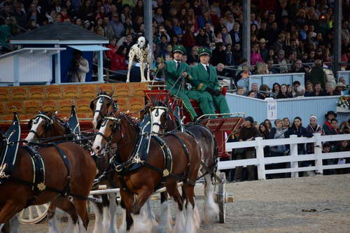 Devon-5-29-14-7141-DDeRosaPhoto