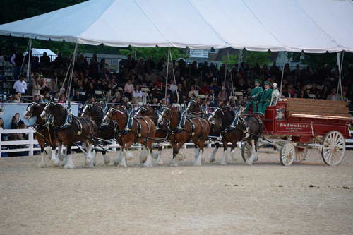 Devon-5-29-14-7149-DDeRosaPhoto