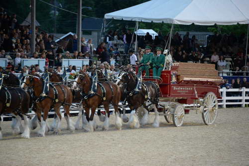 Devon-5-29-14-7151-DDeRosaPhoto