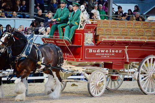 Devon-5-29-14-7154-DDeRosaPhoto