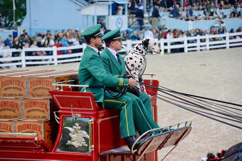 Devon-5-29-14-7158-DDeRosaPhoto