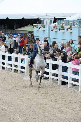 Devon-Saddlebreds-5-29-14-6585-DDeRosaPhoto