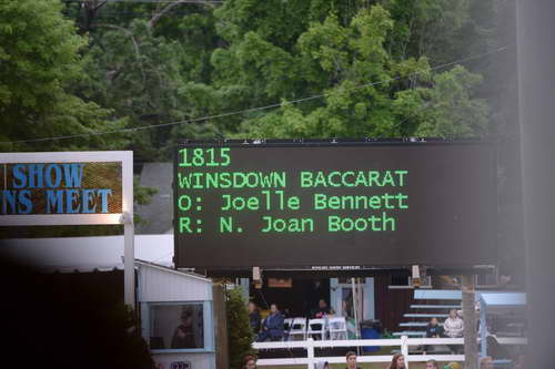 Devon-Saddlebreds-5-29-14-6934-DDeRosaPhoto