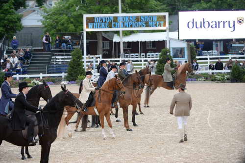 Devon-Saddlebreds-5-29-14-6968-DDeRosaPhoto