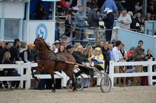 Devon-Saddlebreds-5-29-14-7043-DDeRosaPhoto