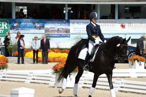 Dressage-at-Devon-9-27-13-4663-DDeRosaPhoto