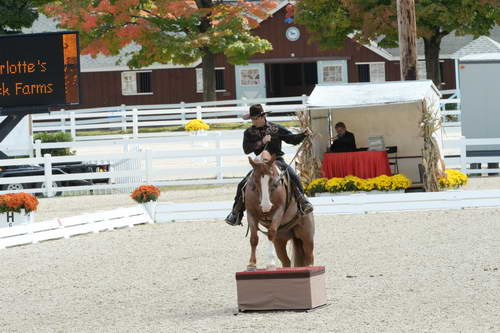 Dressage-at-Devon-9-27-13-4672-DDeRosaPhoto
