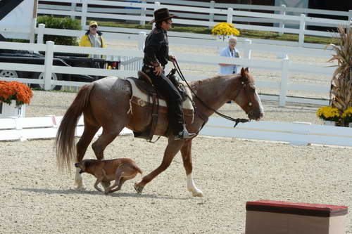 Dressage-at-Devon-9-27-13-4681-DDeRosaPhoto