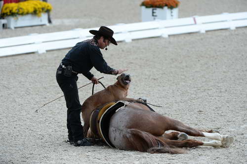 Dressage-at-Devon-9-27-13-4693-DDeRosaPhoto
