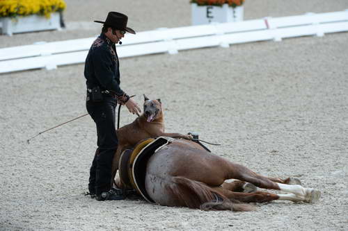 Dressage-at-Devon-9-27-13-4694-DDeRosaPhoto
