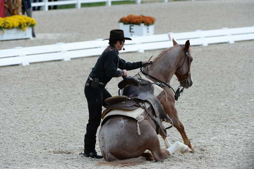 Dressage-at-Devon-9-27-13-4696-DDeRosaPhoto