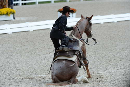 Dressage-at-Devon-9-27-13-4697-DDeRosaPhoto