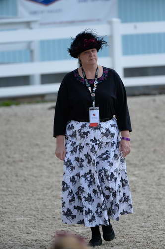 Dressage-at-Devon-9-27-13-4703-DDeRosaPhoto