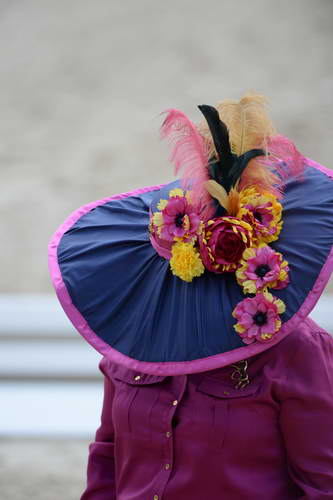 Dressage-at-Devon-9-27-13-4710-DDeRosaPhoto