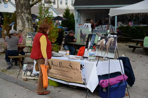 Dressage-at-Devon-9-27-13-4724-DDeRosaPhoto