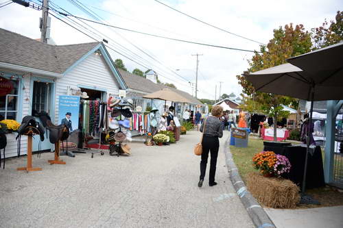Dressage-at-Devon-9-27-13-4732-DDeRosaPhoto