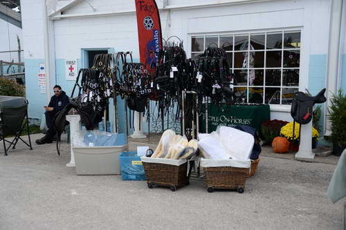 Dressage-at-Devon-9-27-13-4738-DDeRosaPhoto