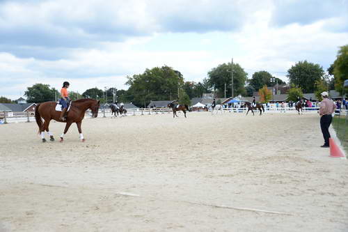 Dressage-at-Devon-9-27-13-4749-DDeRosaPhoto