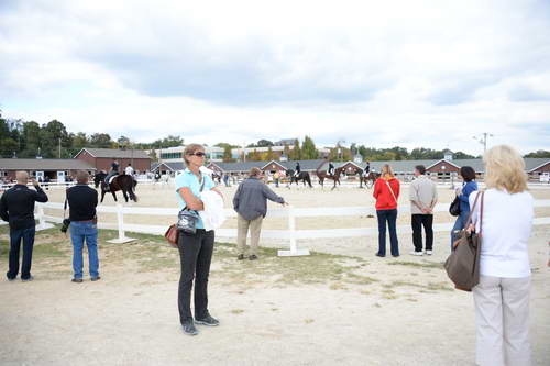 Dressage-at-Devon-9-27-13-4761-DDeRosaPhoto