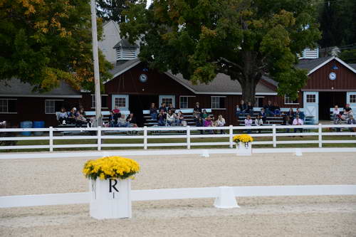 Dressage-at-Devon-9-27-13-4762-DDeRosaPhoto