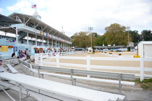 Dressage-at-Devon-9-27-13-4765-DDeRosaPhoto