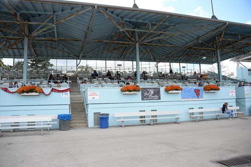 Dressage-at-Devon-9-27-13-4766-DDeRosaPhoto