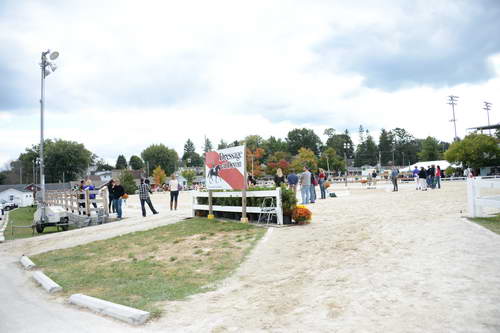 Dressage-at-Devon-9-27-13-4781-DDeRosaPhoto