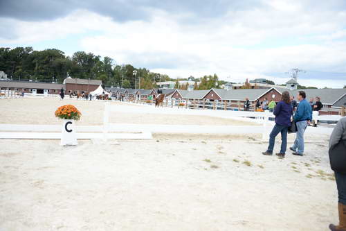 Dressage-at-Devon-9-27-13-4784-DDeRosaPhoto