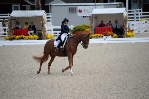 Dressage-at-Devon-9-27-13-4786-DDeRosaPhoto