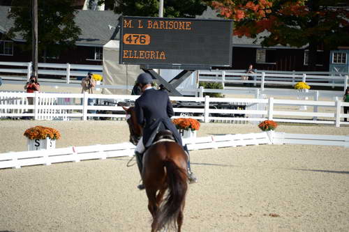 Dressage-at-Devon-9-27-13-4791-DDeRosaPhoto