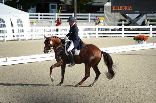 Dressage-at-Devon-9-27-13-4792-DDeRosaPhoto