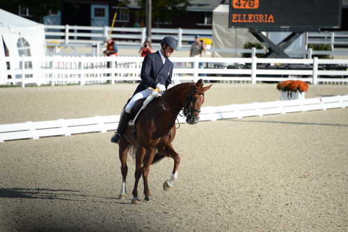 Dressage-at-Devon-9-27-13-4794-DDeRosaPhoto