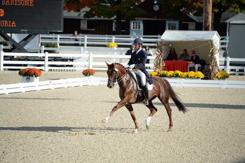Dressage-at-Devon-9-27-13-4798-DDeRosaPhoto