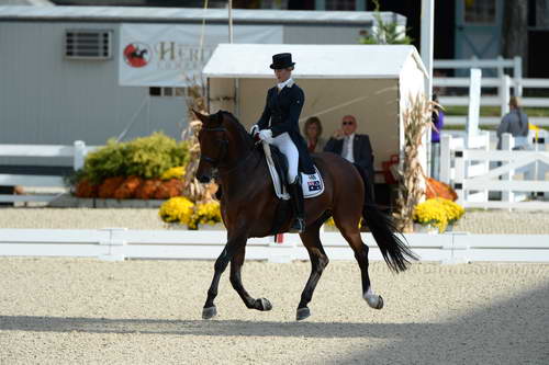 Dressage-at-Devon-9-27-13-4803-DDeRosaPhoto
