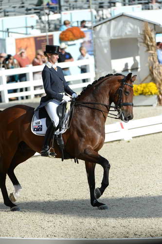 Dressage-at-Devon-9-27-13-4807-DDeRosaPhoto