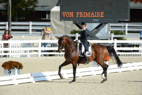 Dressage-at-Devon-9-27-13-4810-DDeRosaPhoto