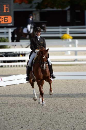Dressage-at-Devon-9-27-13-4812-DDeRosaPhoto