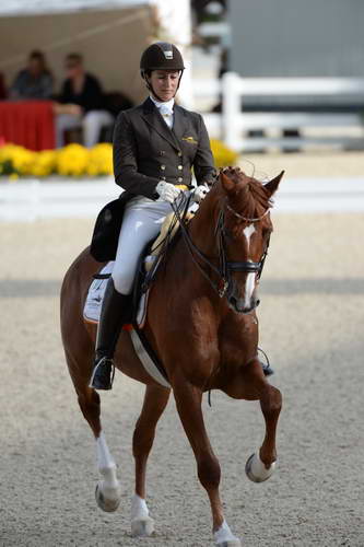 Dressage-at-Devon-9-27-13-4815-DDeRosaPhoto